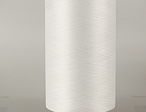 Silver Ion Antimicrobial Antimildew Antimite Polyester Yarn
